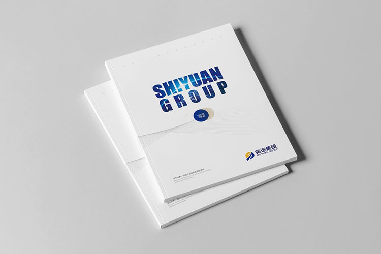 集團(tuán)畫(huà)冊(cè)設(shè)計(jì)